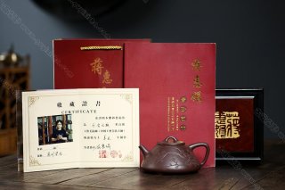 瓣生香獨傲寒，此梅難并眾梅看。 【